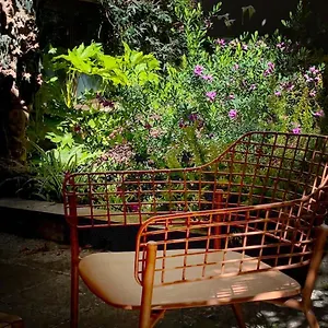 Loquat House Nel Giardino Segreto In Zona Vaticano Roma